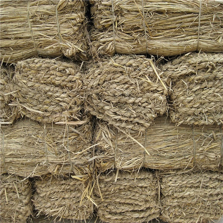 寧夏黄片草莓视频定製