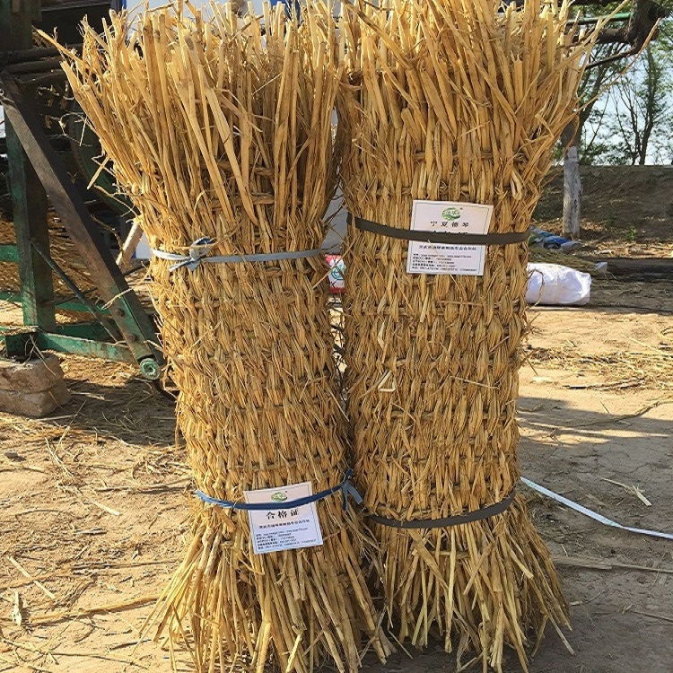 寧夏草莓视频污污下载子